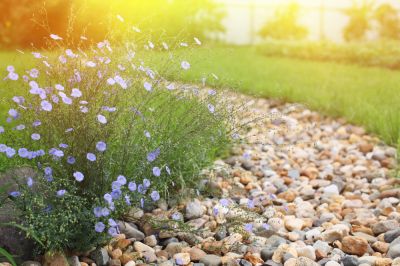 Lawn Drainage